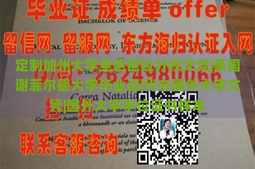 定制加州大学圣芭芭拉分校文凭|英国谢菲尔德大学毕业证|代办国外大学文凭|国外大学学位证书样本