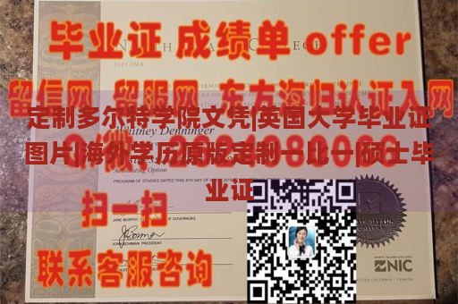 定制多尔特学院文凭|英国大学毕业证图片|海外学历原版定制一比一|硕士毕业证