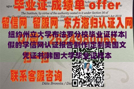 纽约州立大学布法罗分校毕业证样本|假的学信网认证报告制作|定制美国文凭证书|韩国大学毕业证样本