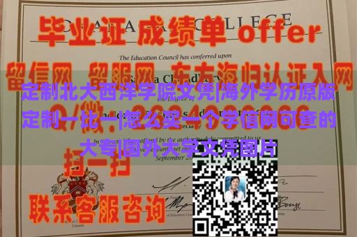 北大西洋学院文凭定制|海外学历原版定制一比一|如何购买学信网可查的大专|国外大学文凭图片