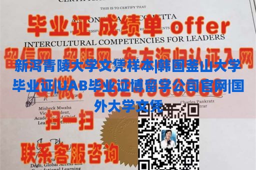 新泻青陵大学文凭样本|韩国釜山大学毕业证|UAB毕业证博留学公司官网|国外大学文凭