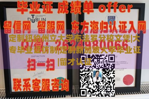 定制纽约州立大学布法罗分校文凭|仿制大专毕业证|定制新加坡大学毕业证|留才认证